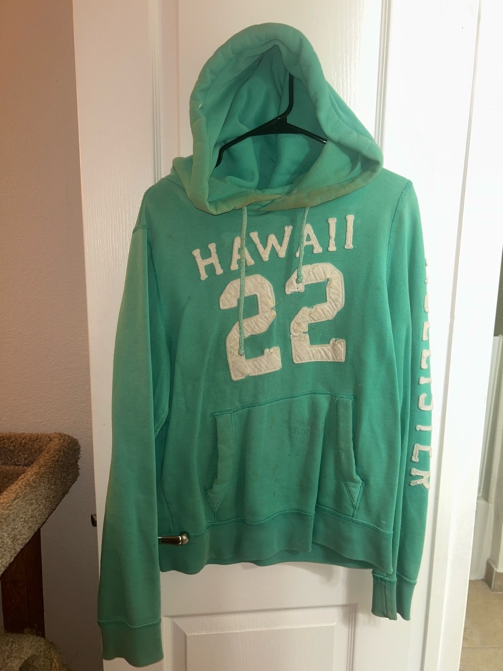 Hollister women’s Teal Hooded Sweatshirt with White Graphics